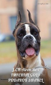 Подарок1.jpg (23.83 КБ, Просмотров: 1484) Подарок1.jpg