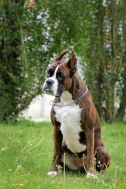 x_76fac03882.jpg (236.83 КБ, Просмотров: 1484) x_76fac03882.jpg