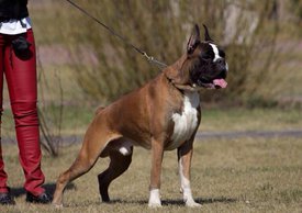 R2owrpE528k_resized.jpg (143.74 КБ, Просмотров: 1484) R2owrpE528k_resized.jpg