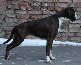 IMG_4410.jpg (646.63 КБ, Просмотров: 1484) IMG_4410.jpg