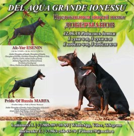 131.jpg (33.1 КБ, Просмотров: 2044) 131.jpg