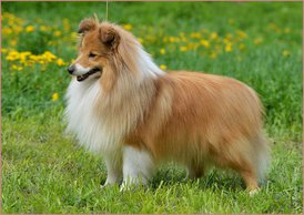 TtFeEVCe-IU.jpg (140.2 КБ, Просмотров: 2079) TtFeEVCe-IU.jpg