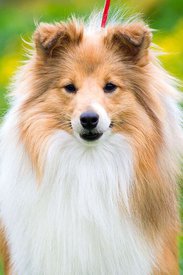 TIbxjN7knEM.jpg (75.14 КБ, Просмотров: 2079) TIbxjN7knEM.jpg