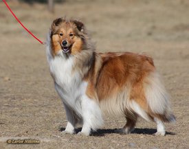 mMSwsHhCdjs.jpg (94.17 КБ, Просмотров: 2079) mMSwsHhCdjs.jpg