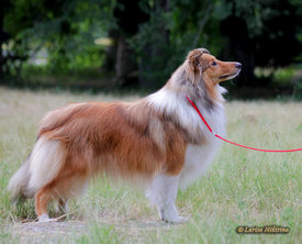 15205744658119427.jpg (122.45 КБ, Просмотров: 2214) 15205744658119427.jpg