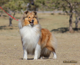 152057447404593588.jpg (116.47 КБ, Просмотров: 2079) 152057447404593588.jpg