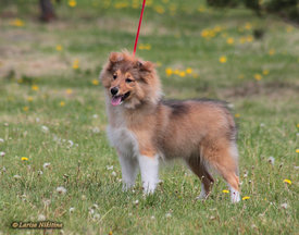 758-031 (2).jpg (232.46 КБ, Просмотров: 2214) 758-031 (2).jpg