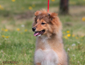 758-049.jpg (166.05 КБ, Просмотров: 2079) 758-049.jpg