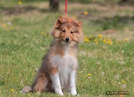 758-051.jpg (208.64 КБ, Просмотров: 2079) 758-051.jpg