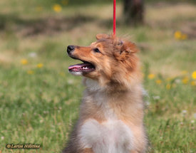 758-054.jpg (175.65 КБ, Просмотров: 2079) 758-054.jpg