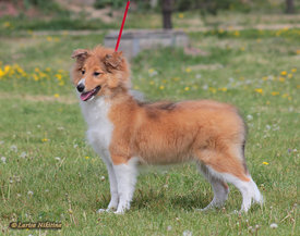 758-083.jpg (255.78 КБ, Просмотров: 2214) 758-083.jpg