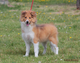 758-092.jpg (251.23 КБ, Просмотров: 2079) 758-092.jpg