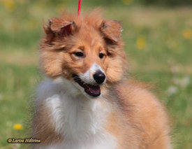 758-100.jpg (166.96 КБ, Просмотров: 2079) 758-100.jpg