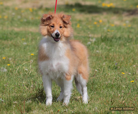 758-108.jpg (270.21 КБ, Просмотров: 2214) 758-108.jpg