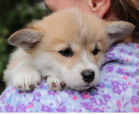 20180713_180819.png (847.79 КБ, Просмотров: 1861) 20180713_180819.png