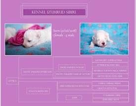 lKnXt4pMQEY.jpg (232.65 КБ, Просмотров: 3854) lKnXt4pMQEY.jpg