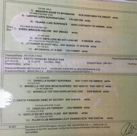 hPQMsD4kIGU.jpg (265.35 КБ, Просмотров: 3853) hPQMsD4kIGU.jpg