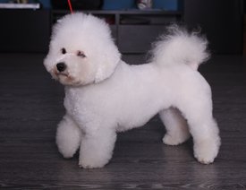 c-7YBI2SisQ.jpg (112.49 КБ, Просмотров: 3853) c-7YBI2SisQ.jpg