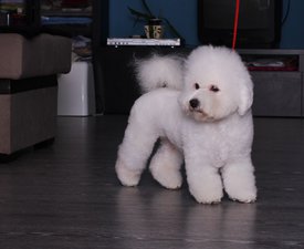 wOfZFN3J52M.jpg (139.34 КБ, Просмотров: 3590) wOfZFN3J52M.jpg