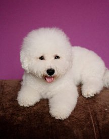 Yz07N0bY_fw.jpg (139.89 КБ, Просмотров: 3833) Yz07N0bY_fw.jpg