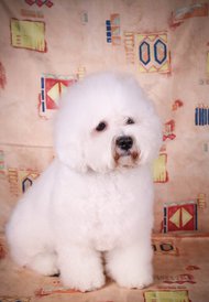 E4u51TJSGh8.jpg (94.5 КБ, Просмотров: 3590) E4u51TJSGh8.jpg