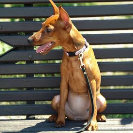 Луиза.jpg (94.15 КБ, Просмотров: 14556) Луиза.jpg