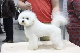 O8JKYBdhrMM.jpg (134.72 КБ, Просмотров: 3499) O8JKYBdhrMM.jpg