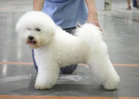 UVk52gNofNI.jpg (104.65 КБ, Просмотров: 3499) UVk52gNofNI.jpg