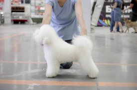 igKF3uLJh7I.jpg (73.24 КБ, Просмотров: 3406) igKF3uLJh7I.jpg