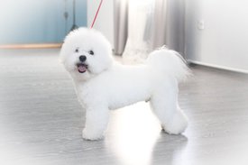 pYn0oIJtLAY.jpg (53.86 КБ, Просмотров: 3499) pYn0oIJtLAY.jpg