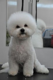 dBybUc0dlus.jpg (35.38 КБ, Просмотров: 3406) dBybUc0dlus.jpg