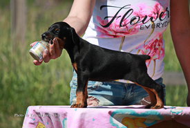 edUDA_u6sDY.jpg (470.7 КБ, Просмотров: 1956) edUDA_u6sDY.jpg