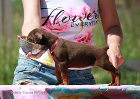 Gfx-IfD-N5M.jpg (453.89 КБ, Просмотров: 1956) Gfx-IfD-N5M.jpg