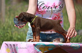 vrtNFAD7gvQ (1).jpg (465.8 КБ, Просмотров: 1955) vrtNFAD7gvQ (1).jpg