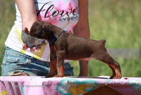 90XjIBpaZFY.jpg (456.95 КБ, Просмотров: 1956) 90XjIBpaZFY.jpg