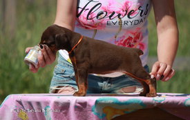 jMxnJRvBVAQ.jpg (422.09 КБ, Просмотров: 1957) jMxnJRvBVAQ.jpg