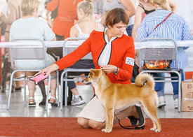 Тюмень1.jpg (304.21 КБ, Просмотров: 15747) Тюмень1.jpg