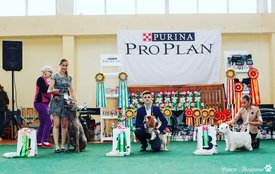 IMG_20180717_225537_230.jpg (178.87 КБ, Просмотров: 6531) IMG_20180717_225537_230.jpg