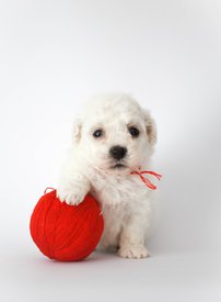 3VoDVX4ErOY.jpg (55.98 КБ, Просмотров: 3771) 3VoDVX4ErOY.jpg