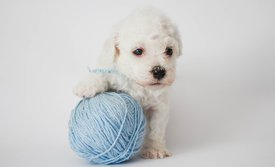 cuF-sPZXHvo.jpg (54.15 КБ, Просмотров: 3750) cuF-sPZXHvo.jpg