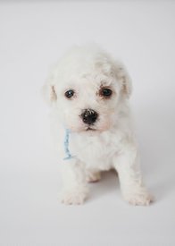 uQj64aCBB3w.jpg (46.54 КБ, Просмотров: 3507) uQj64aCBB3w.jpg