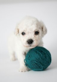 jFIWSSbtg50.jpg (66.29 КБ, Просмотров: 3750) jFIWSSbtg50.jpg