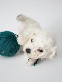 g8ETYxw0DME.jpg (77.79 КБ, Просмотров: 3770) g8ETYxw0DME.jpg