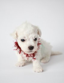 1ukht3ae6SA.jpg (66.98 КБ, Просмотров: 3750) 1ukht3ae6SA.jpg