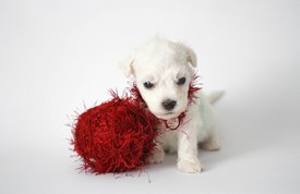 Bp0zODv_nP8.jpg (73.89 КБ, Просмотров: 3771) Bp0zODv_nP8.jpg