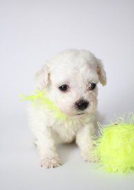 7r_eYZbaBis.jpg (67.87 КБ, Просмотров: 3507) 7r_eYZbaBis.jpg