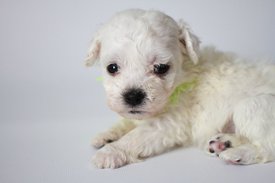 gJXbfk7JikU.jpg (72.78 КБ, Просмотров: 3770) gJXbfk7JikU.jpg