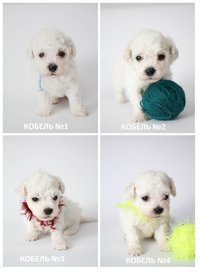 VCC0DbUcGn0.jpg (181.43 КБ, Просмотров: 3770) VCC0DbUcGn0.jpg