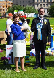 13728959_632258056930760_8496026246722428607_n.jpg (123.42 КБ, Просмотров: 7941) 13728959_632258056930760_8496026246722428607_n.jpg