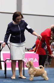 23658840_1616833568359767_6529501842790970705_n.jpg (56.18 КБ, Просмотров: 8101) 23658840_1616833568359767_6529501842790970705_n.jpg